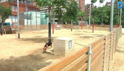 Imatge pels mitjans: Construcció d’un pipi can gran amb punt d’aigua, seients i ombra